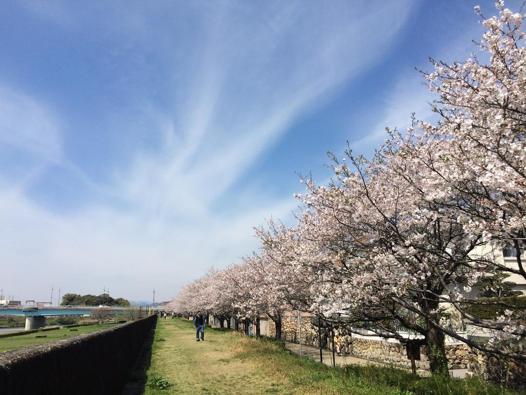Jyoseikan Kōchi Екстериор снимка