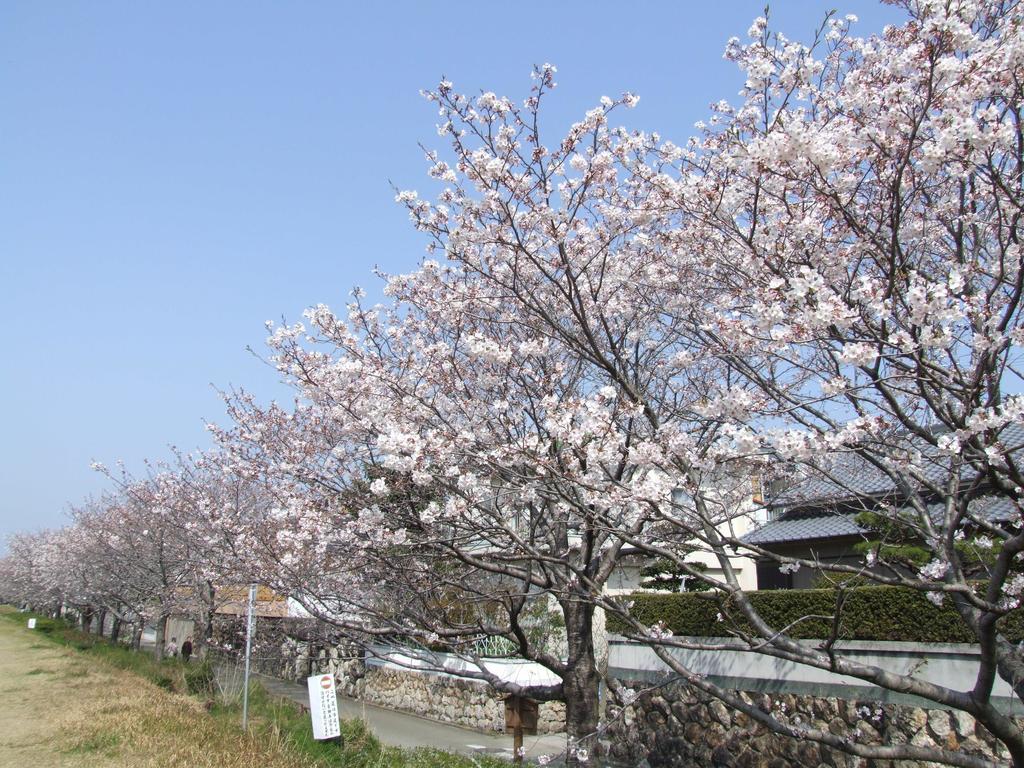 Jyoseikan Kōchi Екстериор снимка